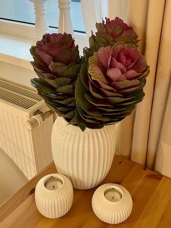 Bild von anne. Bild von anne.