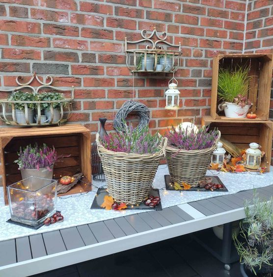 Bild von juanfanino Bild von juanfanino