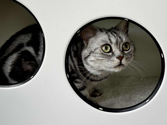 Bild von Bypeter Bild von Bypeter