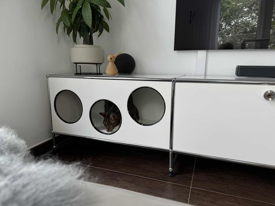 Bild von Bypeter Bild von Bypeter