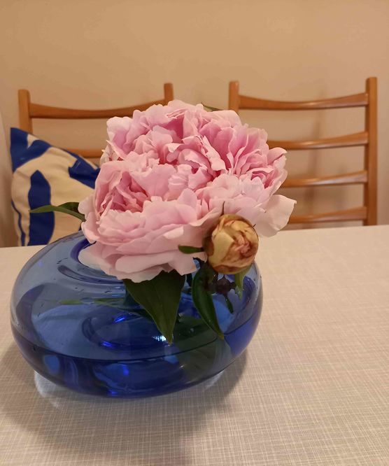 Bild von heidibavaria Bild von heidibavaria