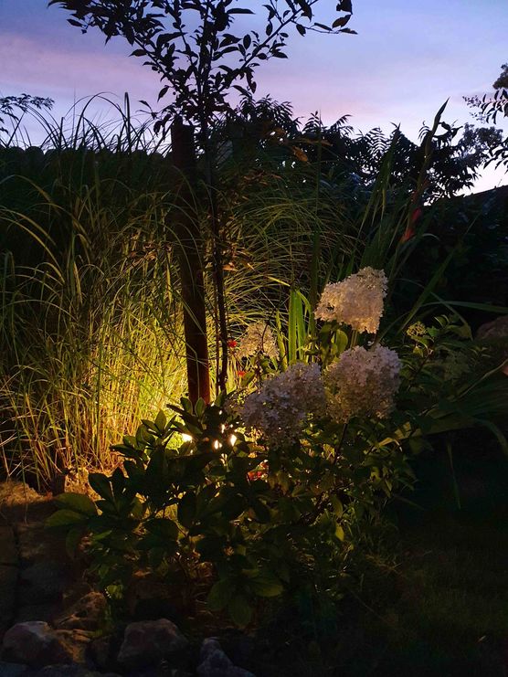 Bild von lichtblau Bild von lichtblau