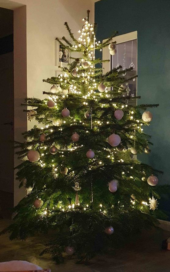 Bild von lichtblau Bild von lichtblau