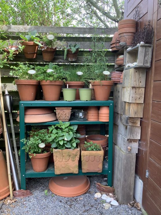 Unsere Kräutergärten:
Kräutergarten No 1: Unsere Kräutergärten:
Kräutergarten No 1: