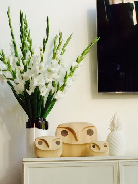 Gladiolen ❤️ ❤️ ❤️ Gladiolen ❤️ ❤️ ❤️