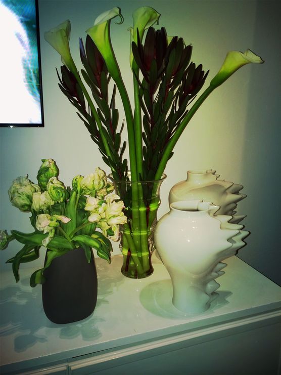 Flower Power Flower Power