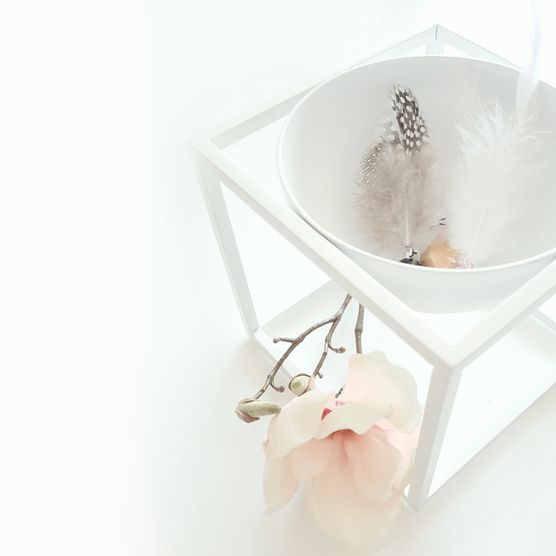 Federleicht Federleicht