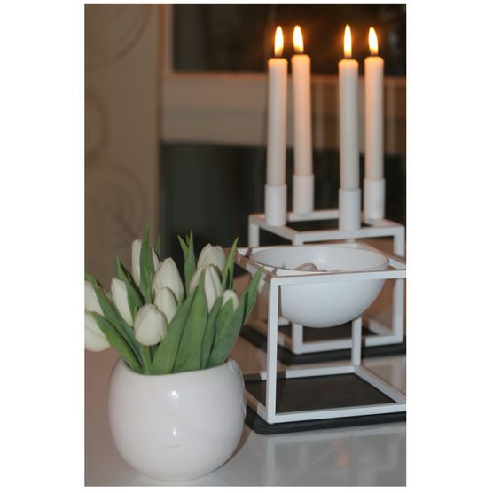 kubusliebe kubusliebe