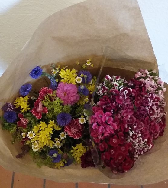 Midsommarblommor? Midsommarblommor?