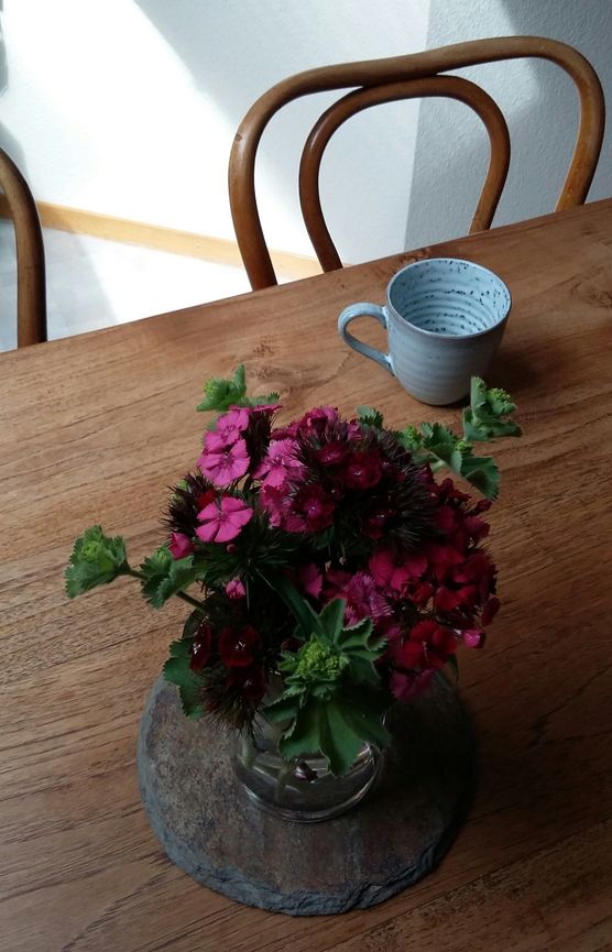 Heute bei mir in Heute bei mir in