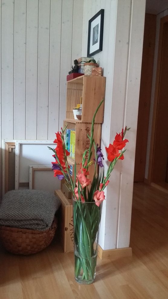 Gladiolenliebe😍 Gladiolenliebe😍