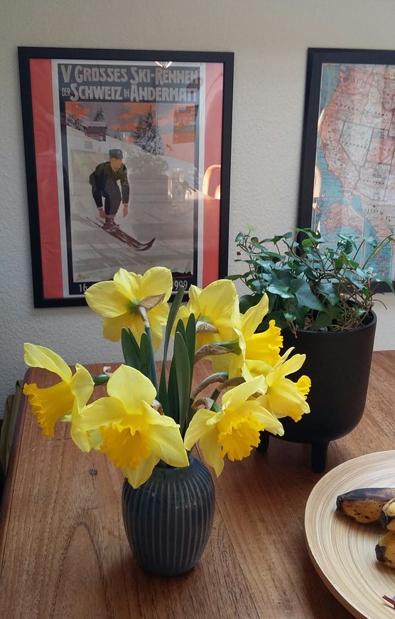 Frühlingsboten direkt vom Garten😍 Frühlingsboten direkt vom Garten😍