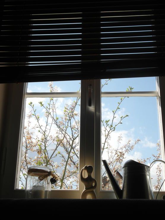 Frühlingsfenster Frühlingsfenster