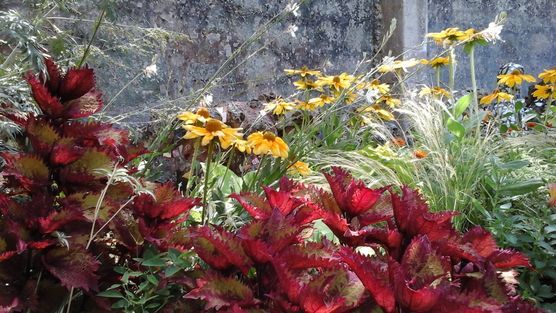 Herbstfarben Herbstfarben