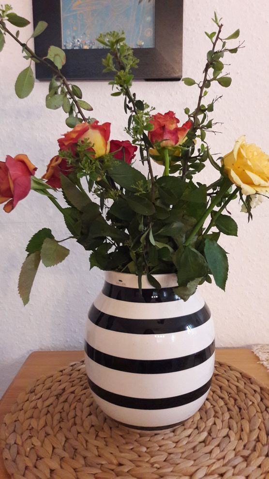 Schwuppdiwupp ein paar Supermarktrosen Schwuppdiwupp ein paar Supermarktrosen