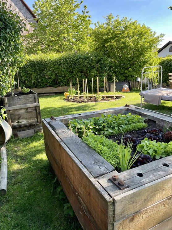 Bild von Lapaquma Bild von Lapaquma