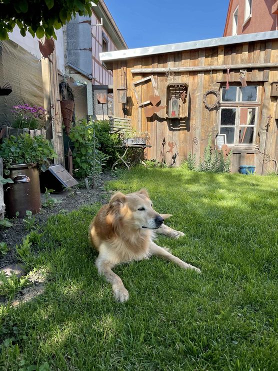 Bild von Lapaquma Bild von Lapaquma