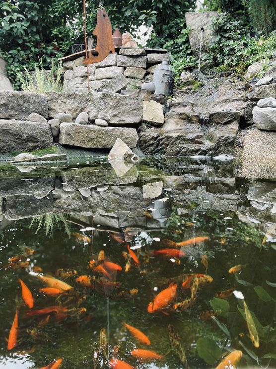 Bild von Lapaquma Bild von Lapaquma