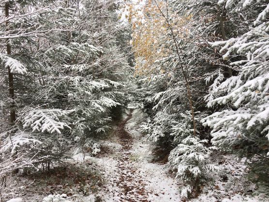 endlich da:relaxed: endlich da:relaxed: