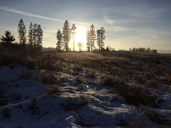 Sonnenuntergang Sonnenuntergang