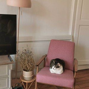 Bild von Ortons Bild von Ortons