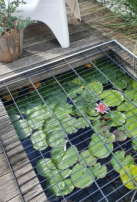 Bild von nickygee Bild von nickygee