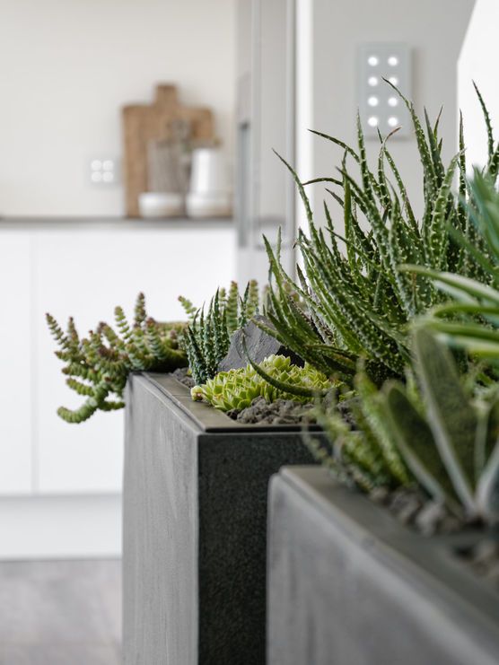 Mein neuer Steingarten im Esszimmer Mein neuer Steingarten im Esszimmer