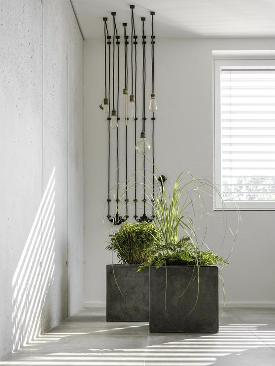 asiatisches Flair vor der Sichtbetonwand asiatisches Flair vor der Sichtbetonwand