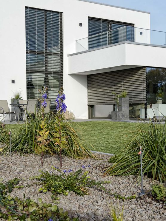 erster Blick in den neuen Garten! erster Blick in den neuen Garten!