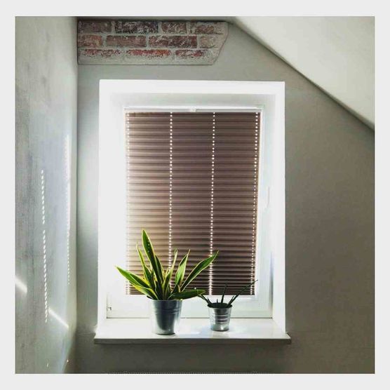 Bild von Villa ChiLulli Bild von Villa ChiLulli