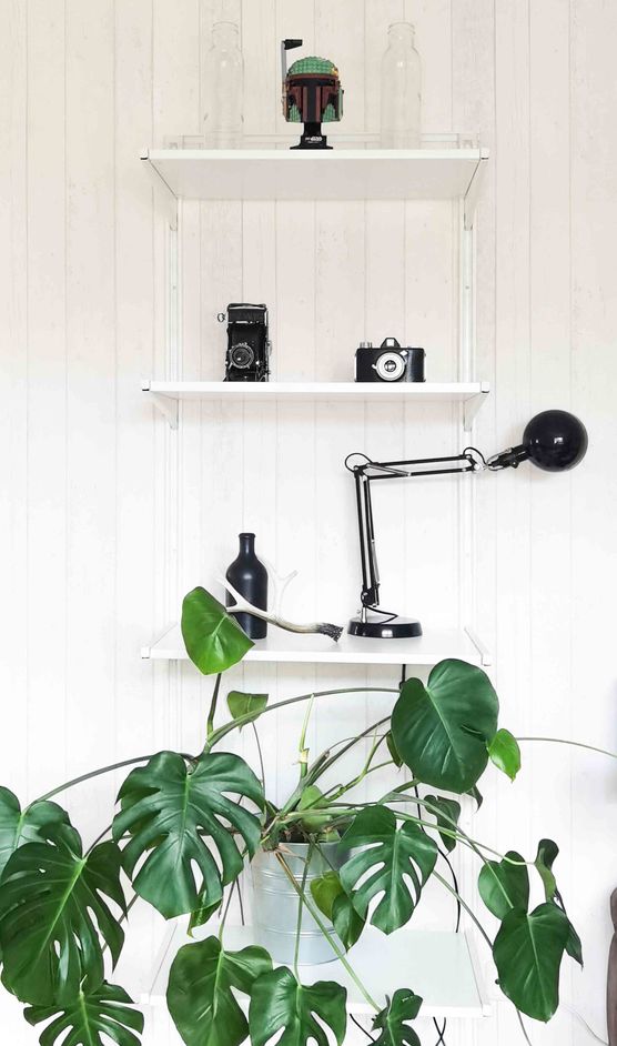 Bild von Villa ChiLulli Bild von Villa ChiLulli