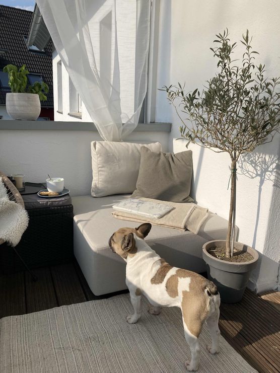 Bild von so.lebenswert Bild von so.lebenswert