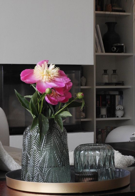 Pfingstrosen aus dem Garten Pfingstrosen aus dem Garten