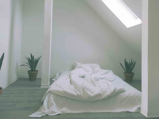 Bild von Kaddy61 Bild von Kaddy61