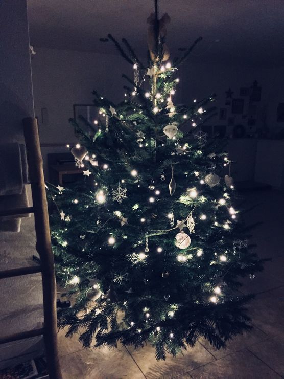 Baum fertig - Check ✅ Baum fertig - Check ✅