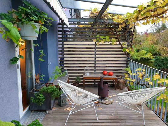 Bild von Lonamma Bild von Lonamma