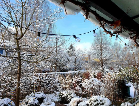 Bild von Lonamma Bild von Lonamma