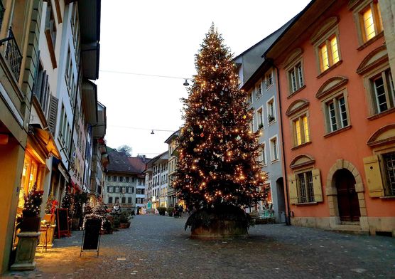 Bild von Lonamma Bild von Lonamma