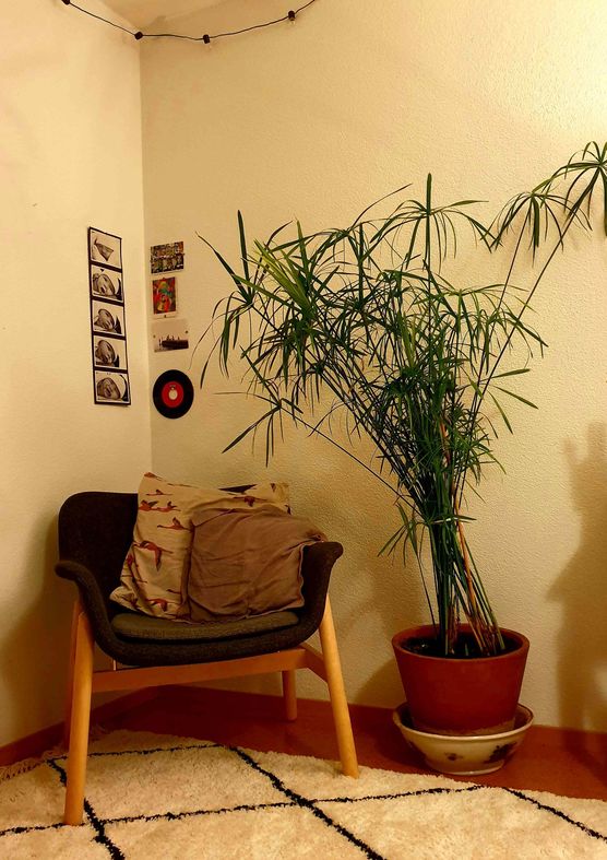 Bild von Lonamma Bild von Lonamma