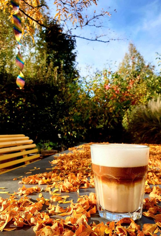 Bild von Lonamma Bild von Lonamma