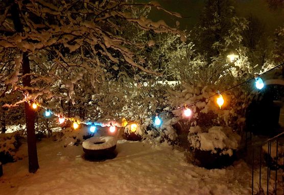 Bild von Lonamma Bild von Lonamma