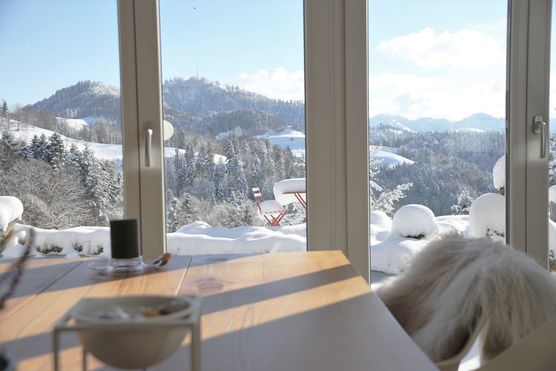 Was will man mehr ☺ Was will man mehr ☺