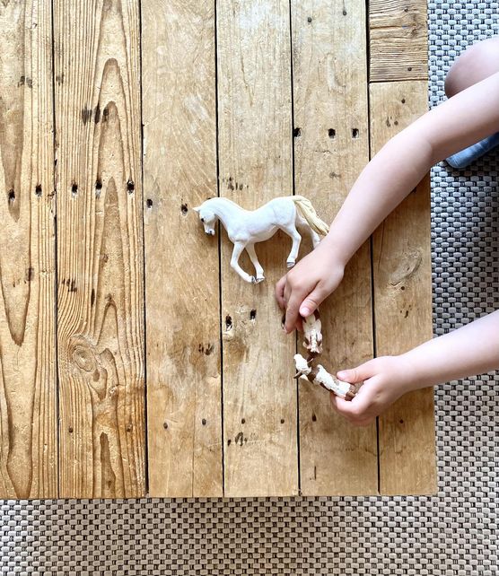 Bild von Sama_klein Bild von Sama_klein