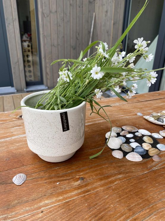 Bild von Sama_klein Bild von Sama_klein