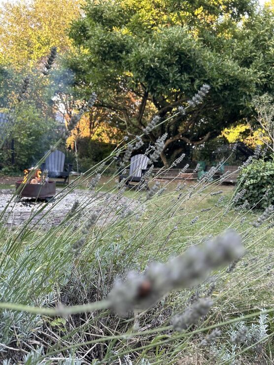 Bild von wohngefährtin Bild von wohngefährtin