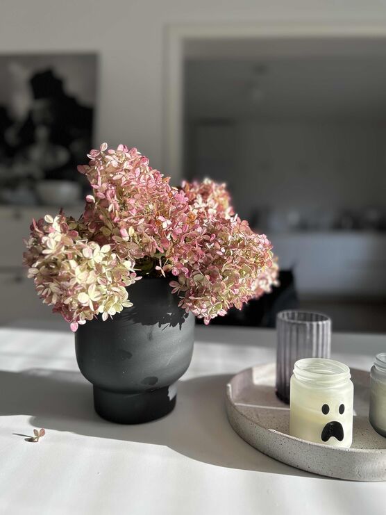 Bild von wohngefährtin Bild von wohngefährtin