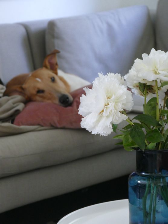 Und noch eins.... ein Und noch eins.... ein