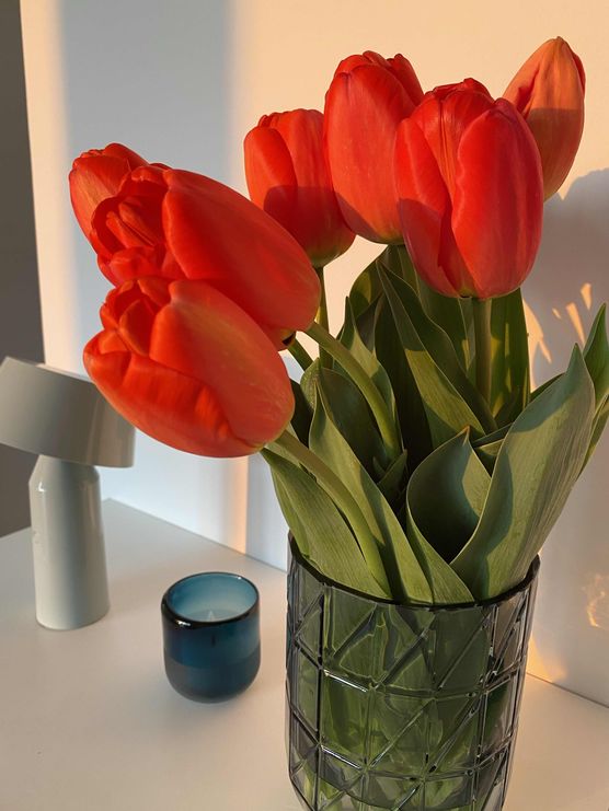 Bild von mschoeni Bild von mschoeni