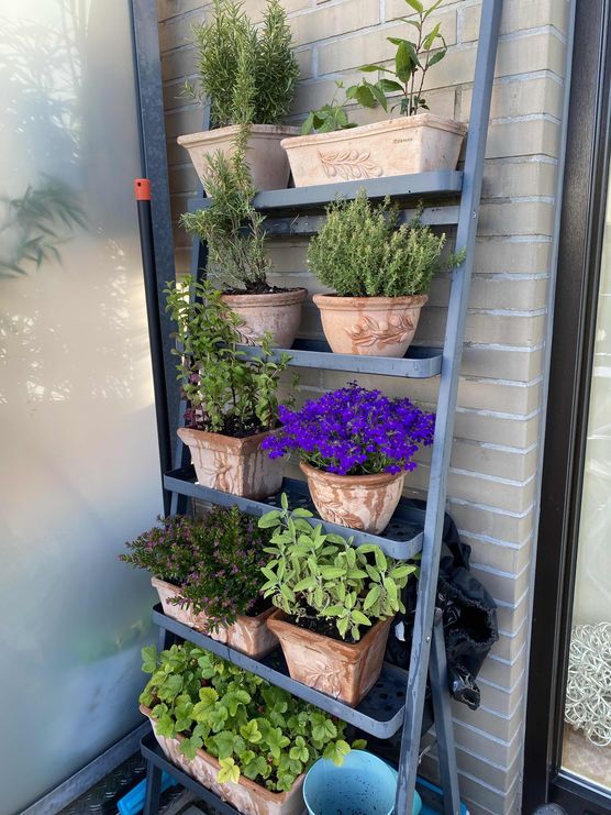 Bild von mschoeni Bild von mschoeni