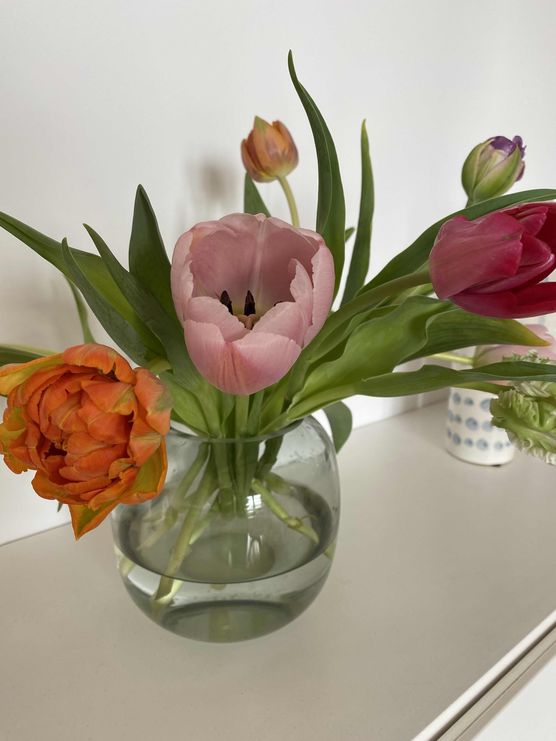 Bild von mschoeni Bild von mschoeni